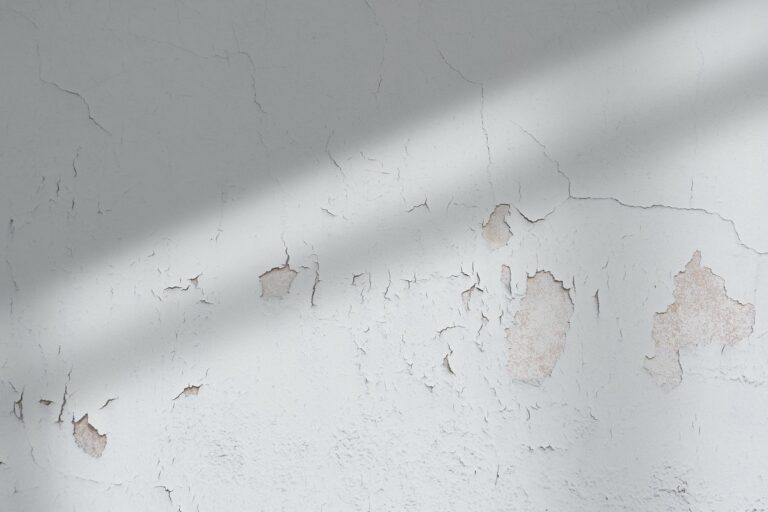 image-from-rawpixel-id-577719-jpeg