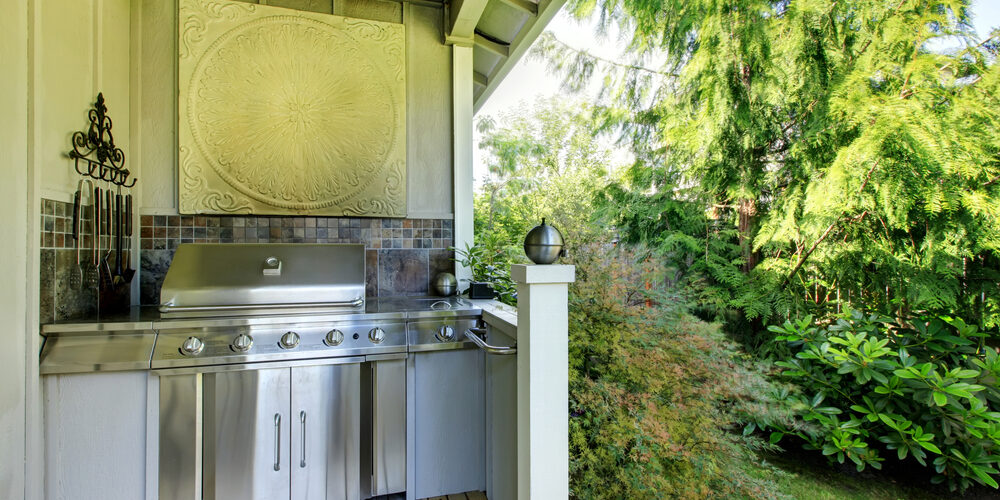 Outdoor kitchen area with zebra rug and plants.