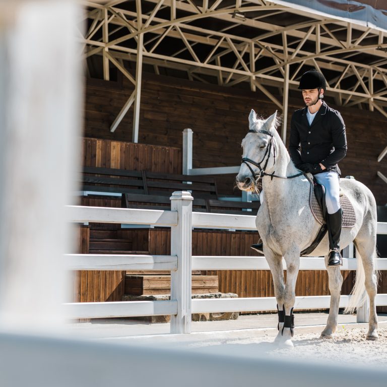 best equestrian communities