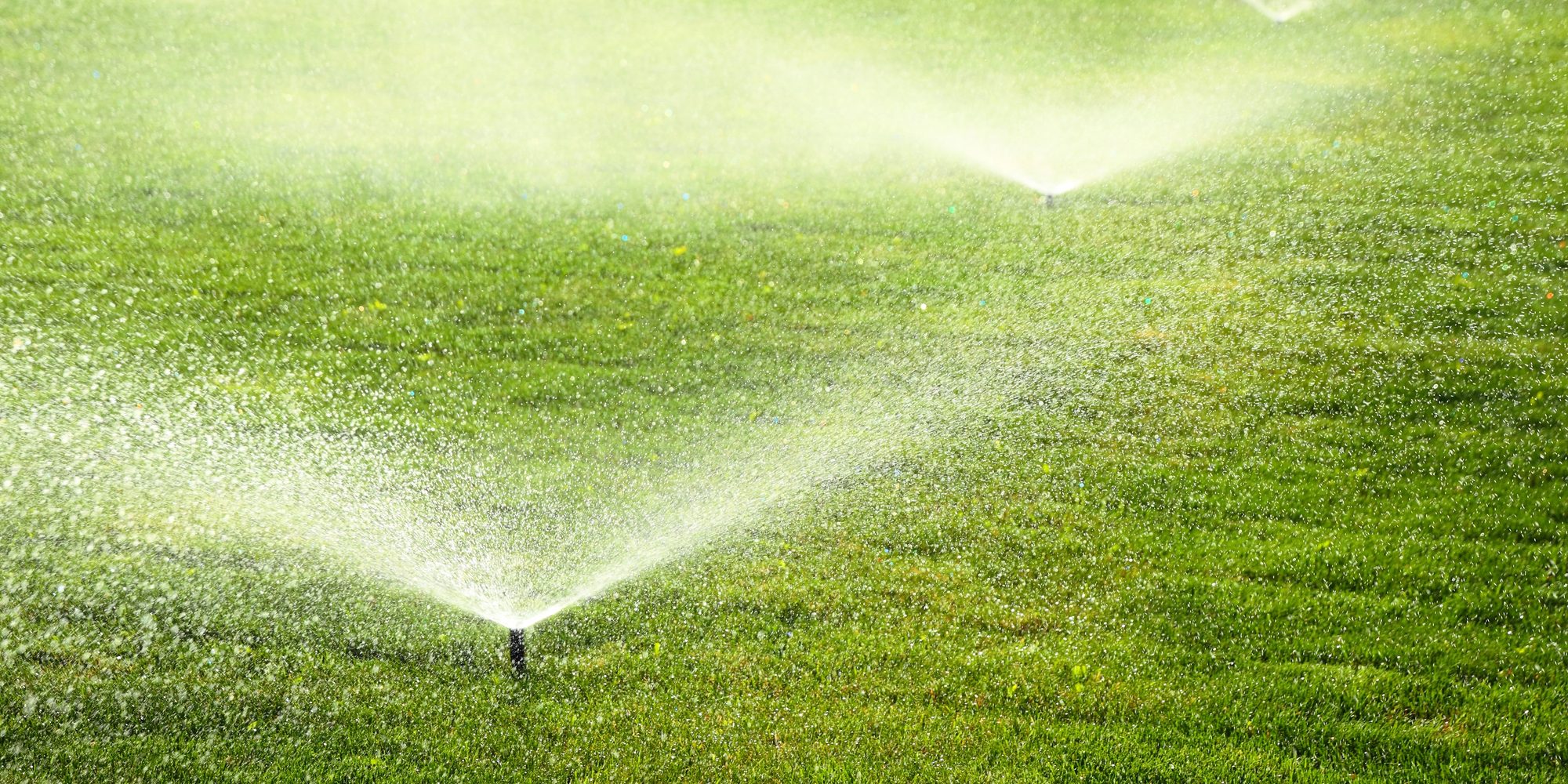 irrigation