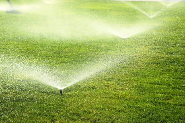 irrigation