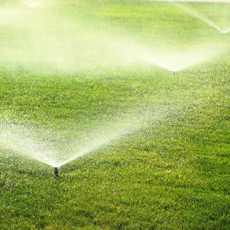 irrigation